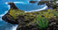 Why Jeju Island Aloe Is Different From Everything Else