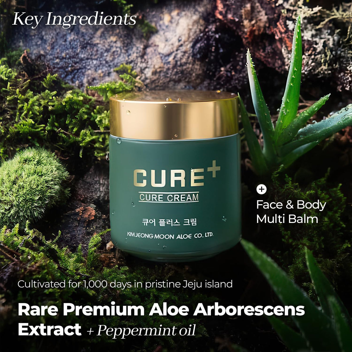 Cure+ Cream (50g)