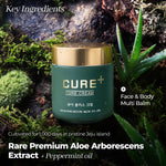Cure+ Cream (50g)