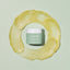 Cure Real Aloe Jelly Cream (100ml)