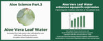 Cure+ Phyto Green Toner S (130ml)